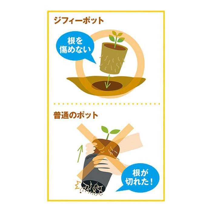 Sakata Seeds 生态盆栽可种植圆形 5.5 厘米 X 40 件日本制造