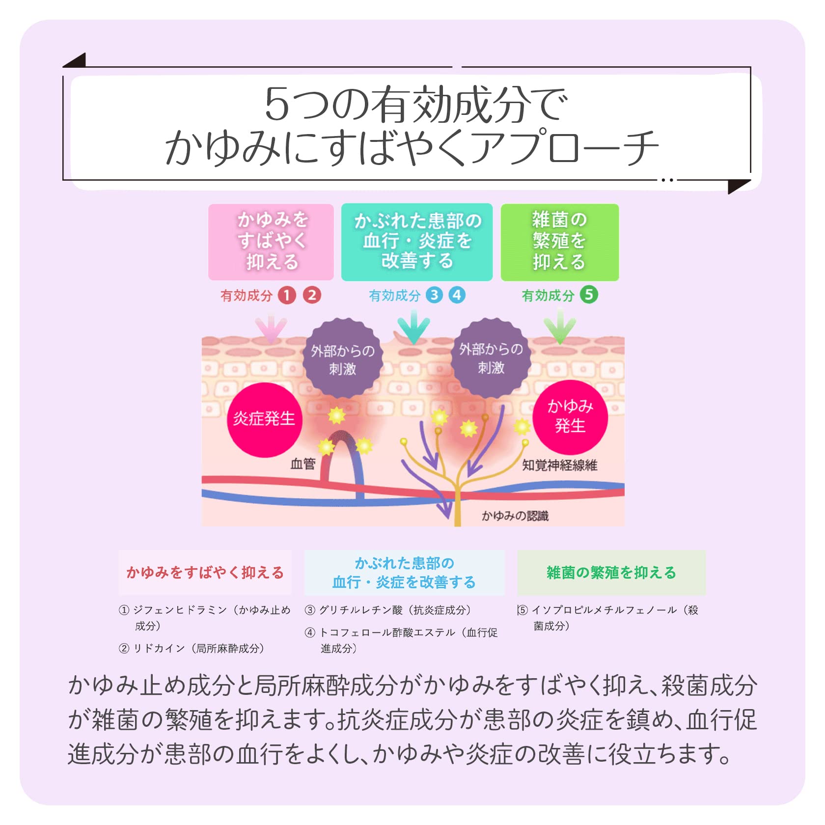 Sato Pharmaceutical Enpecure 20G Otc Drug - Japan Self-Medication Taxation System