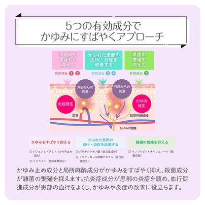 Sato Pharmaceutical Enpecure 20G Otc Drug - Japan Self-Medication Taxation System