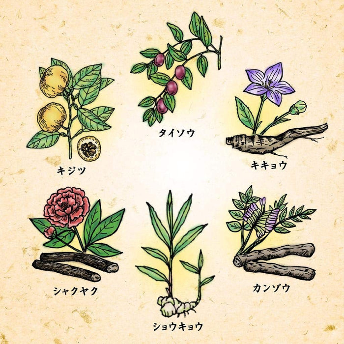 Fresh Leaves Herbal Tablets From Japan | 84 Tablets | Otc Drug