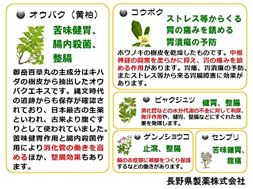 Nagano Pharmaceutical Mitake Hyakusogan 20 Packets - Japan Otc Drug