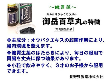 Nagano Pharmaceutical Mitake Hyakusogan 20 Packets - Japan Otc Drug