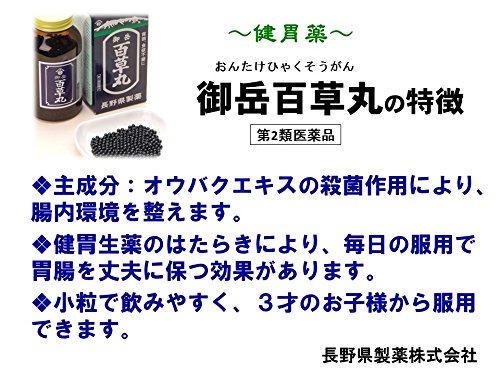 Nagano Pharmaceutical Mitake Hyakusogan 20 Packets - Japan Otc Drug