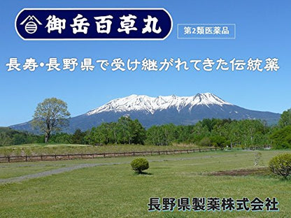 Nagano Pharmaceutical Mitake Hyakusogan 20 Packets - Japan Otc Drug