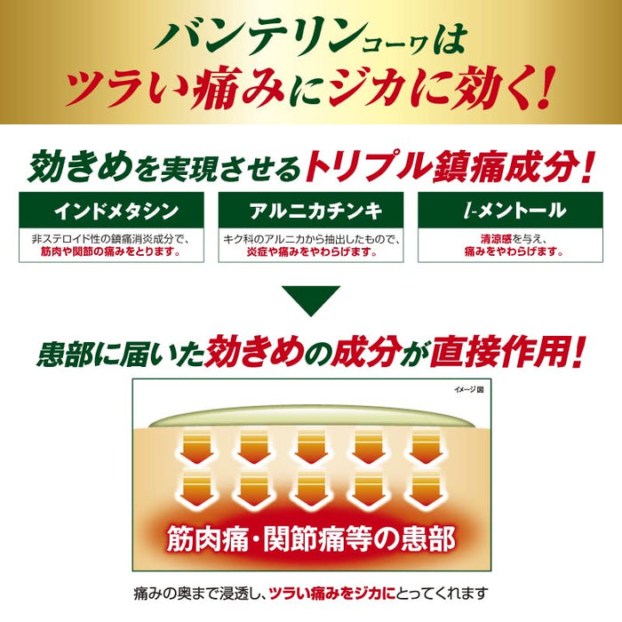 Vantelin Kowa 凝膠 A 35G |第二類非處方藥 |自我藥療稅收制度|日本