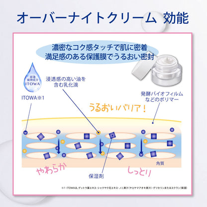 Sekkisei ClearWell OvrNight Cream40G DryPor SensitiveSkin Moisturize