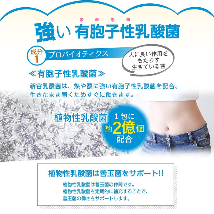 Shinya Enzyme Lactic Acid Bacteria 2.5G 30 Packets Japan