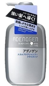 Shiseido Adenogen Dry Scalp Care Shampoo 400Ml X 4 - Japan