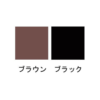 Shiseido Japan Prior Beauty Lift Eyeliner #Black