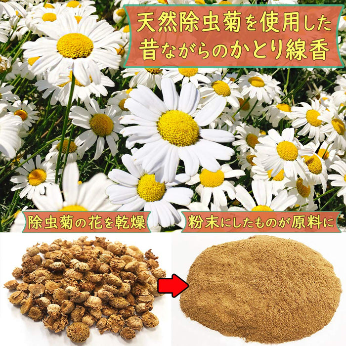 Lion Chemical Japan Natural Pyrethrum Mosquito Repellent Regular Type 30 Rolls