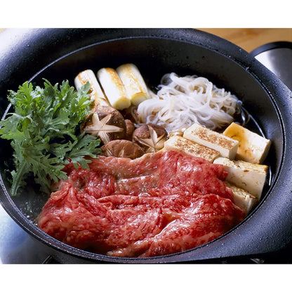 Nihon Yoshokki Cast Iron Induction Oil Pan Griddle 22Cm Japan W/ Steel Lid