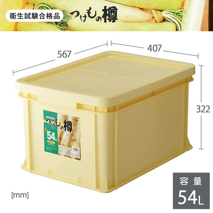 Squirrel Japan Tsukemono Barrel Angle 54 Type 171737 Ivory