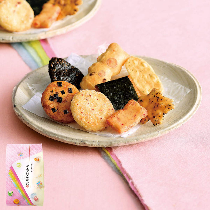 Mochikichi Tenohira Diary Refill Pack Middle Bag - Japan