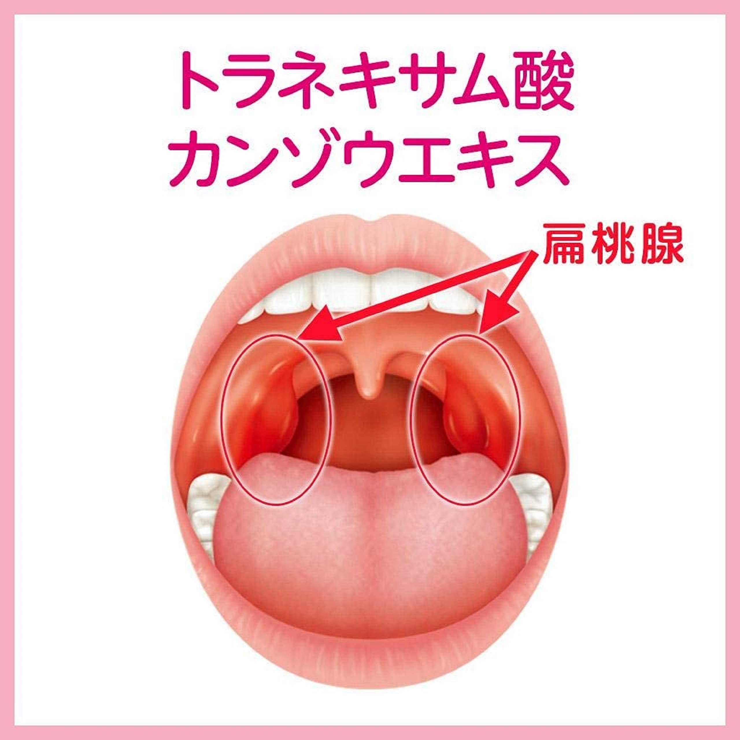 Kobayashi Pharmaceutical [Third Drug Class] Harenurse 18 Packets From Japan