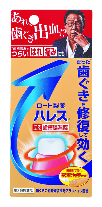 Rohto Pyorrhea Halitosis Dental Care Japan 15G Oral Medicine [Third Drug Class]