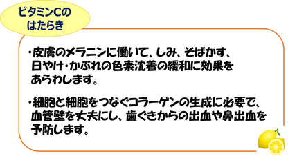 High Sea 1000 24 Packets Japan [Third Drug Class]