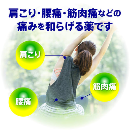 Tokuhon 140 Sheets Self-Medication Tax System | Taisho Pharmaceutical | Japan