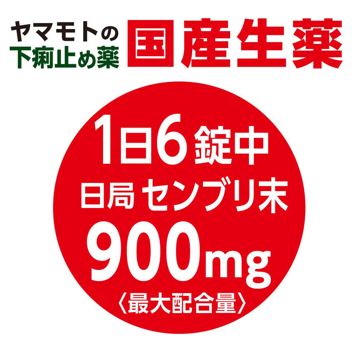 Yamamoto Kampo Pharmaceutical Senburi Tablet S 90 Tablets - Japan Third Drug Class