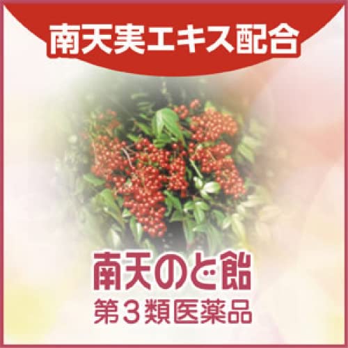 Nanten Throat Lozenge G 22 Tablets - Japan Self-Medication Tax System | Throat Candy