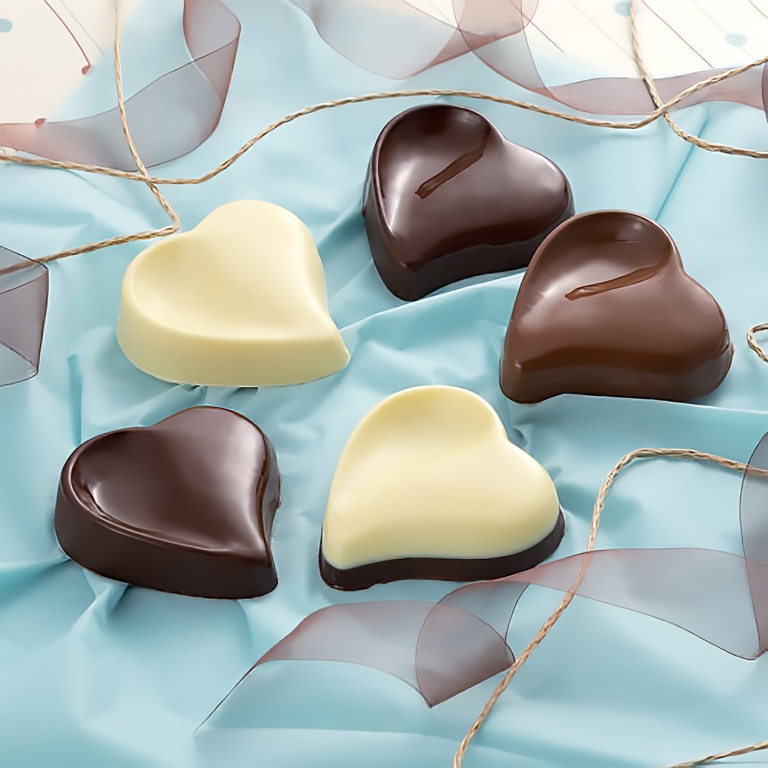 Tigercrown Pet Resin Curvy Heart Chocolate Mold 5pcs