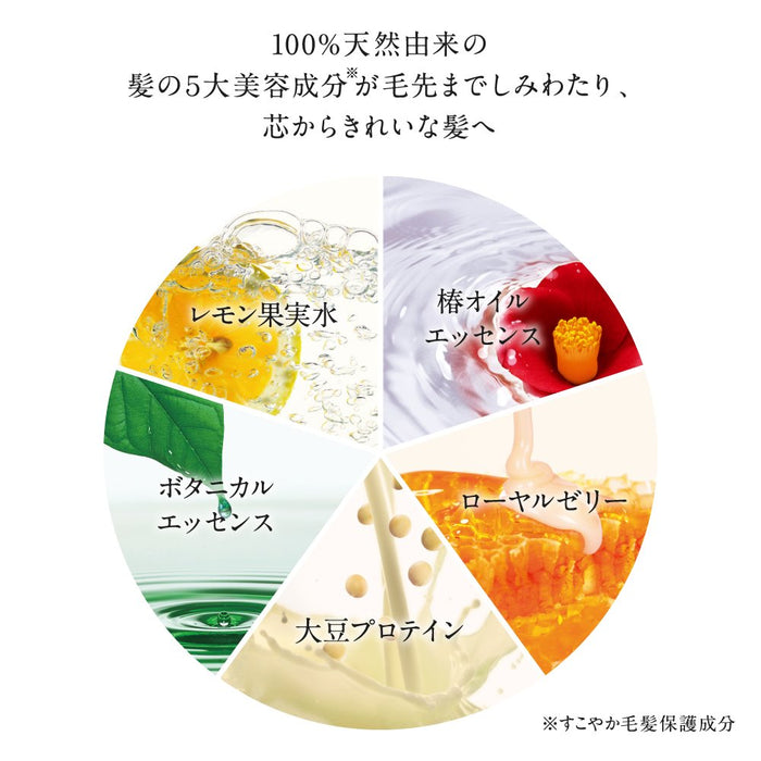 Shiseido Tsubaki Moist and Cohesive Hair Water 220ml - 日本护发和造型产品