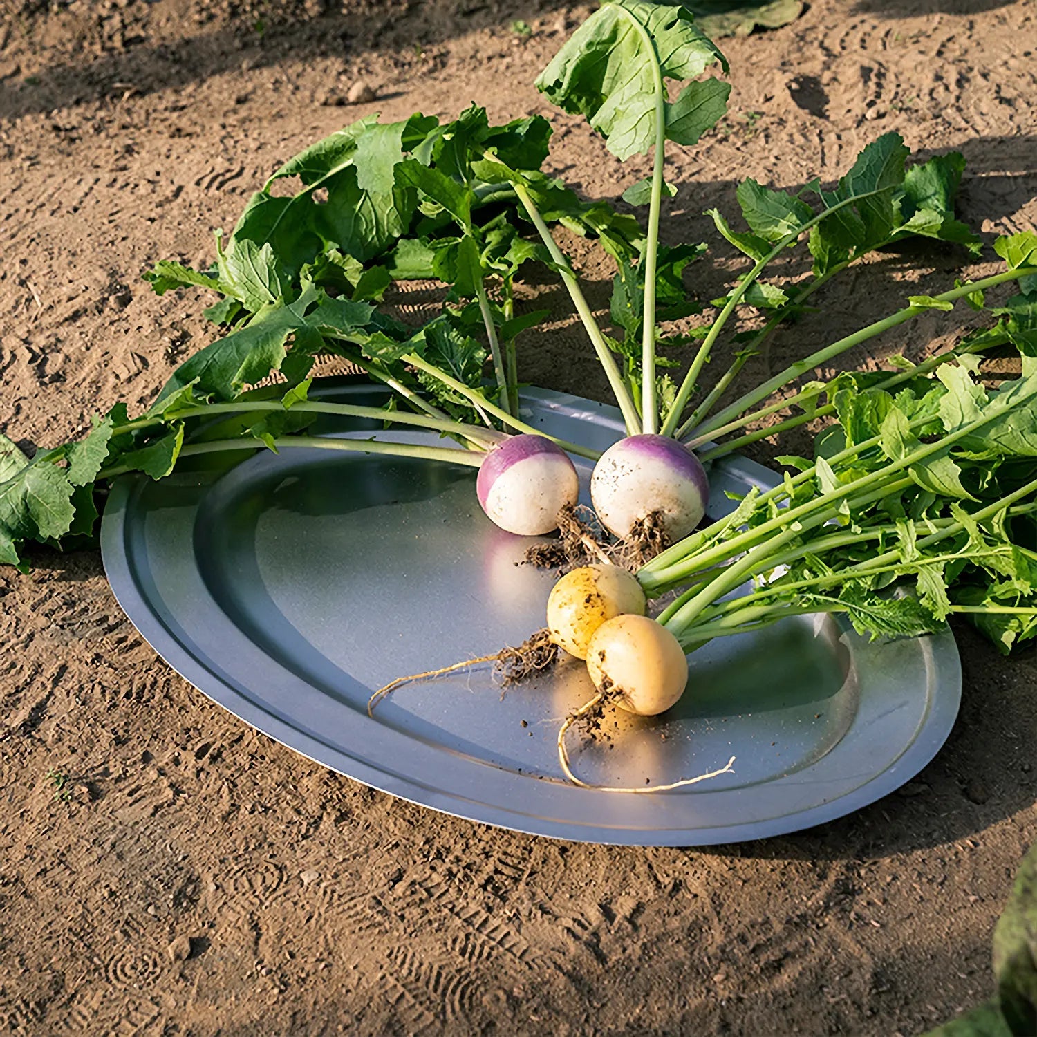 Aoyoshi Japan Vintage Inox Stainless Steel Oval Plate 196Mm