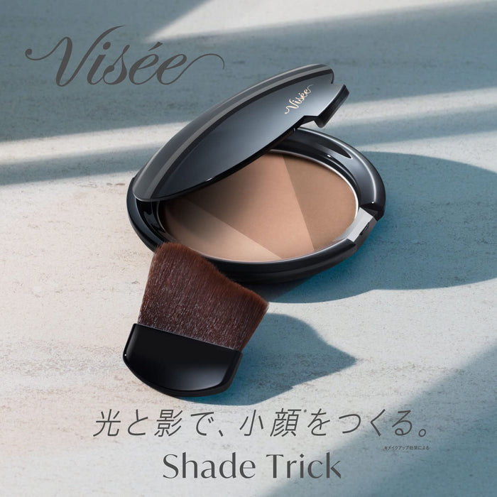 Visee Medium Brown Shade Trick BR300 Bronzer with Exclusive Brush 8.5g