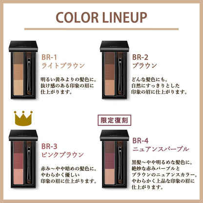 Visee Riche Light Brown Eyebrow Powder BR-1 Unscented 3g