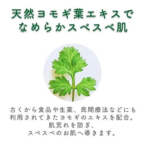 And Muscle Beauty Spring Wahada Bisen Mugwort Rinsing Mud Pack 180G Japan