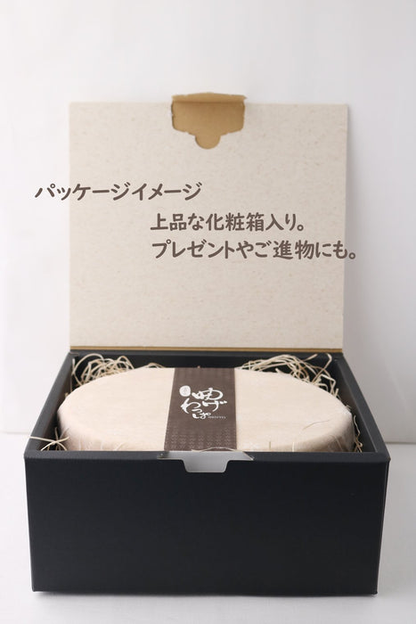 Ruozhao 日本 Magewappa 一步式午餐盒 長方形斜面自然色 Br3W