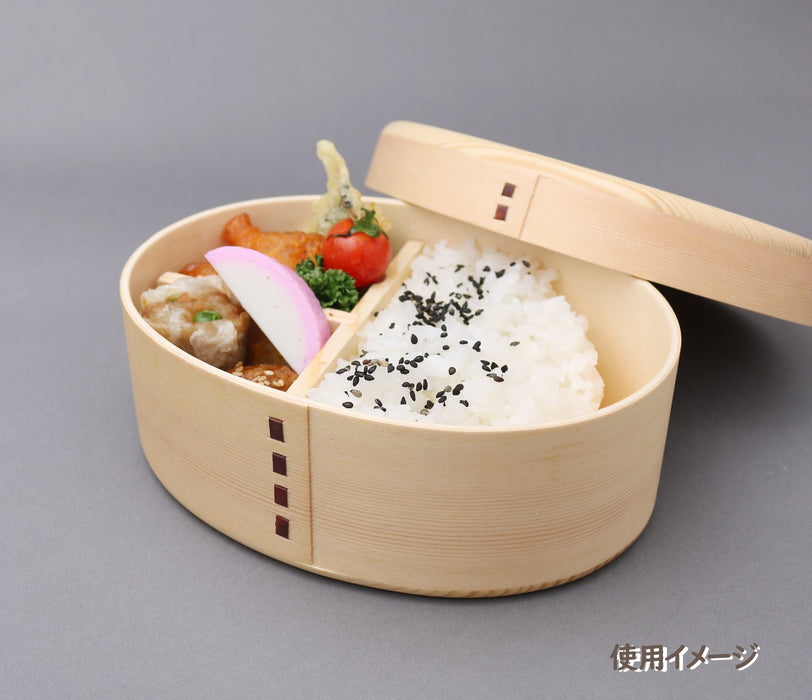 Ruozhao 日本 Magewappa 盖单层午餐盒椭圆形伯爵饰面自然生活 01
