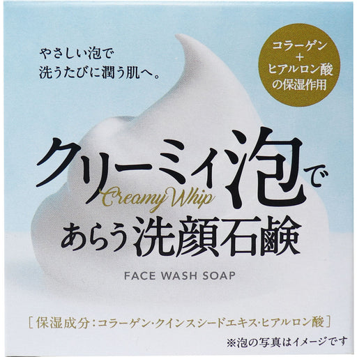 Wash With Clover Corporation Creamy Foam Facial Soap Hys-Scr 72g Japan With Love