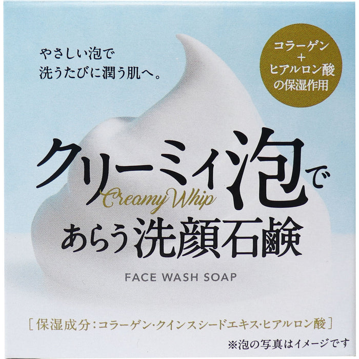 Wash With Clover Corporation Creamy Foam Facial Soap Hys-Scr 72g Japan With Love