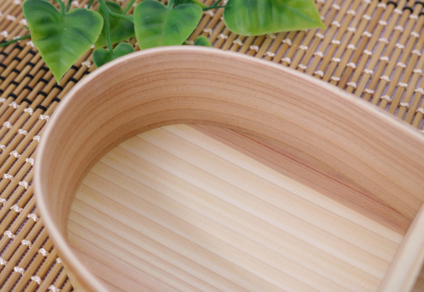 Yamaco Magewappa Bento Box For Women - Japanese Style