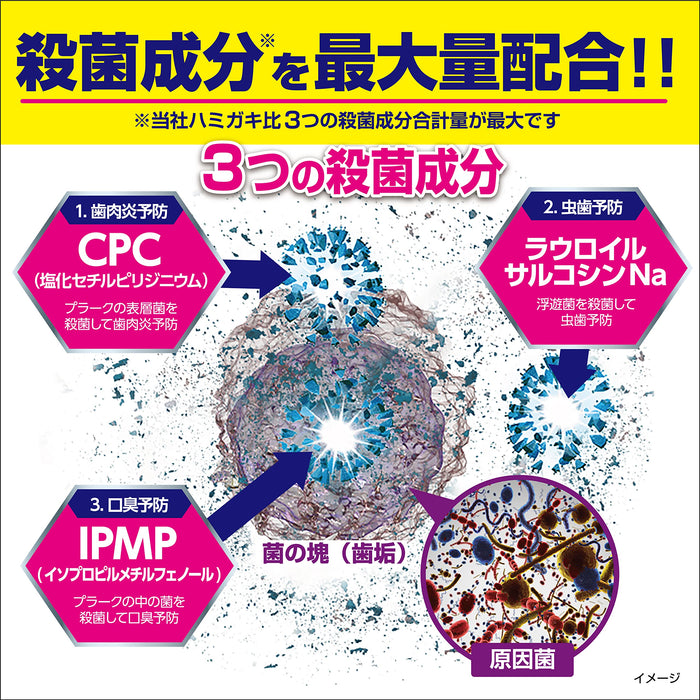 Zerora Mild Mint Sterilization Toothpaste 90G Japan Quasi-Drug | Prevention Of Periodontal Disease