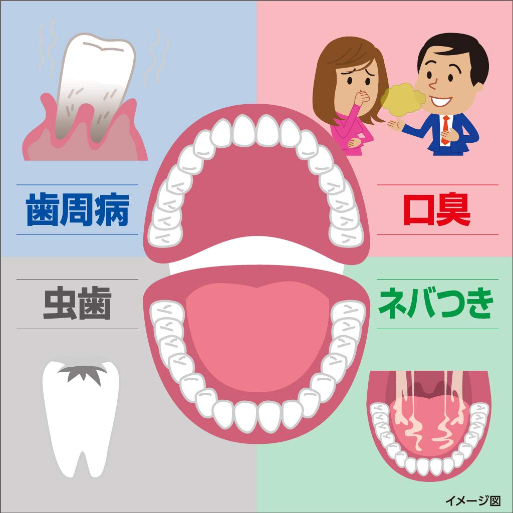 Zerora Sterilization Total Care Medicated Toothpaste 90G Japan | Prevents Periodontal Disease | Mint Flavor | Kobayashi Pharmaceutical [Quasi Drug]