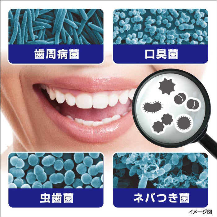Zerora Sterilization Total Care Medicated Toothpaste 90G Japan | Prevents Periodontal Disease | Mint Flavor | Kobayashi Pharmaceutical [Quasi Drug]