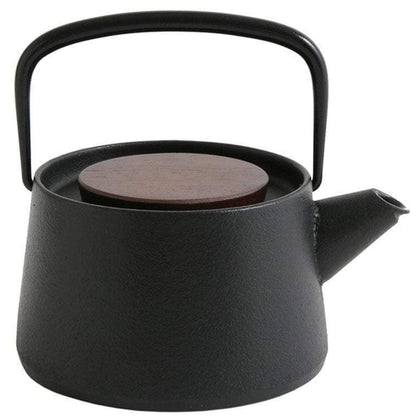 Ikenaga Tetu Nambu Cast Iron Tetsukyusu Teapot