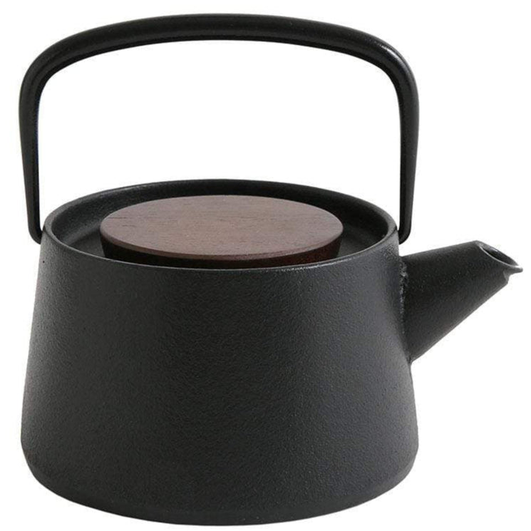 Ikenaga Tetu Nambu Cast Iron Tetsukyusu Teapot