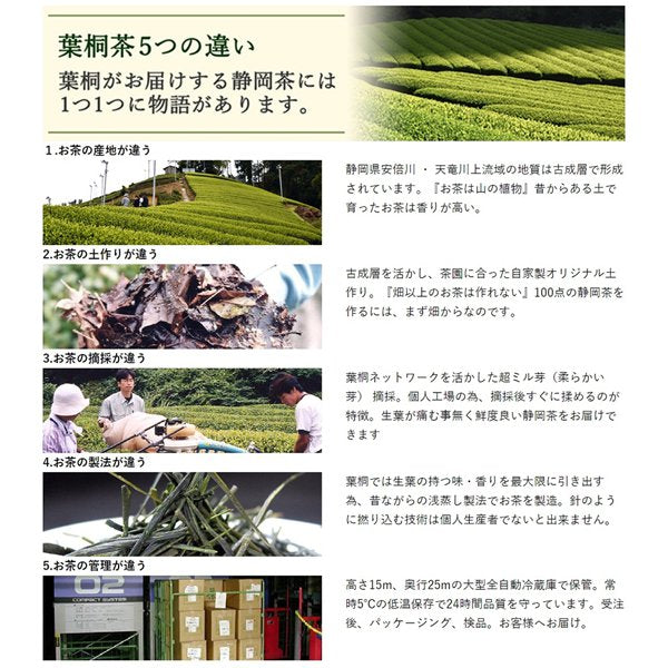 Hakiri Pesticide-Free Cultivation Tenryu Tea 100g Japan With Love 2