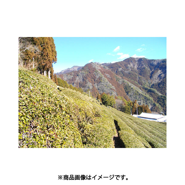 Hakiri Pesticide-Free Cultivation Tenryu Tea 100g Japan With Love 6
